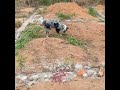 Alicerce de Pedra e Concreto Parte 3