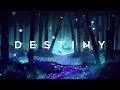 DESTINY - A Synthwave Chillwave Mix for The Weekend