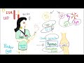 Rheumatoid Arthritis (RA) - Autoimmune Joint Disease - Pathophysiology - Rheumatology Playlist