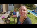 Safe Homemade Grass and Weed Killer With 4 Household Ingredients - Episode 76