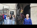 Horse Did This: Police & King's Troop Yell at DISRESPECTFUL Tourists in the Horse Guards' Courtyard