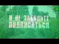 ЧЕСНОК УБРАЛИ, ЧТО ДАЛЬШЕ. Чем занять пустые грядки в июле. Что посеять в июле в огороде.