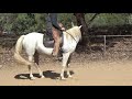 Teaching A Horse To Not Drift Out Of The Turns