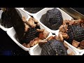 Squid ink bread and black pork / Korean street food