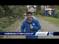 Trees toppled, homes damaged during storm