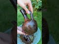 Firing an Ethiopian Coffee Pot Using Charcoal
