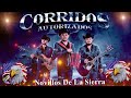 NOVILLOS DE LA SIERRA MIX 💥 Puros Corridos Exitos 💥  Puros Corridos Mix 2k24