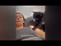 Funny Dogs And Cats Videos😽🐶Best Funniest Animal Videos 2024