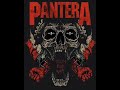 Pantera-Avenger Sevenfold mashup || Walk+Hail To The King