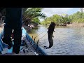 for the first time, Strike Barramundi fish using a Reel fishing rod