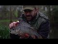 Fishing For BIG PERCH With Prawns - Part Two