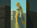Zelda Lived a Tragic Life