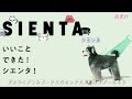 【新型シエンタ】1年乗った感想！誰でもわかる良し悪しランキング紹介！