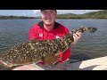 Trophy Flathead - Find and Catch