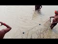 Dream Fishing By Fisherman in River. Catching Big Rohu Fish Like Monster #fish_video #fishing
