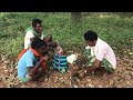 Dantewada-Bastar tribals drinking Mahua (locally brewed alcohol)