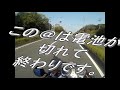 割とマジみたい!?