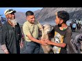 Ep 4 BTS Hunder to Thang village (POK Border), Ladakh | Double Humped Camel | Nubra Valley