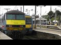Trains at Norwich | 09/08/13