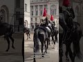 Monday morning and some famous faces in the Blues and Royals return to Horse Guards. 14.08.2023.