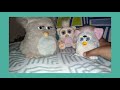 furbys 2005, y Furby baby