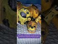 FNAF SPRING BONNIE COSPLAY | Tutorial PART 2 #purpleguyfnaf #fnaf #shortscraft #fnafcosplay #fnaf3