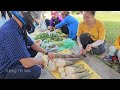 Harvesting giant bamboo shoots to sell, growing corn on the farm with my daughter | Tương Thị Mai