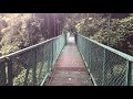 Selvatura Hanging Bridges