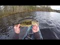 Pre-SPAWN BASS in Massachusetts! (Spring BASS Fishing)