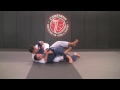 Tripod Miragaia Pass to Back Take - Cobrinha BJJ & Fitness Alliance Los Angeles