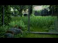 The Last of Us Part II Cinematic Realistic Gameplay Custom Difficulty