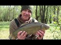 Tench and Crucians fishing in the margins on float fishing tactics #tenchfishing #cruciancarp