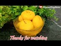 Easy Rajbhog Recipe I हलवाई जैसे rajbhog बनाने की ट्रिक्स I Rajbhog Recipe #sweet