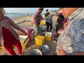 Chợ cá Bãi Sau Mũi Né vào mùa cá cơm hấp dẫn du khách hè  ❤️   🏝