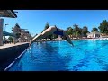 The Easy Way to Learn How to Do a Swimming Dive // Only 3 Steps