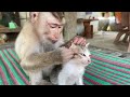 Nice Zueii Grooming Kitty Mally So Sleepy And So Fun