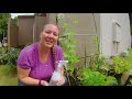 Easy Homemade Fungicide for Blight, Fungus, and Powdery Mildew - Episode 82