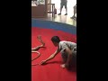 King cobra attack