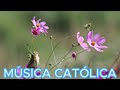 LA CANCIÓN CATÓLICA