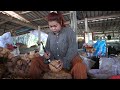 Amazing Apple Coconut Farm Harvesting and Cutting Process - Thai Street Food