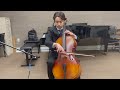 Saint-Saëns Cello Concerto No. 1, Opus 33, Movement 1 - performed by Loig Mailhe Wang