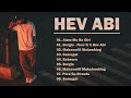 HEV ABI Hit Song Music Playlist 2024 - Hev Abi NONSTOP Song 2024 #hevabi #opmparty