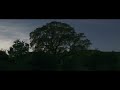Twilight Springtide | SONY FX30 | Sigma 18-50MM F2.8 | 4K Cinematic Film