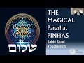 The Magical Pinhas. Free Love can kill! | Zohar Pinhas 2024 5784 | Shaul Youdkevitch