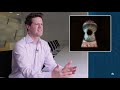 Data Privacy Explained | Cybersecurity Insights #11