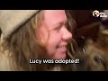 Sweet Dog Is Left Behind When Couple Breaks Up | The Dodo