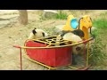 Funny Panda video:  Pandas playing in Beijing Zoo