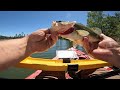 Kayak Fishing for Tournament Bass at Lake Francis