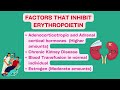 EVERYTHING about ERYTHROPOIETIN (CRYSTAL CLEAR!)