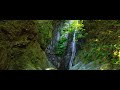 Rainforest Relaxation, Rainforest Walk Cinematic  [3D Sounds, ASMR]